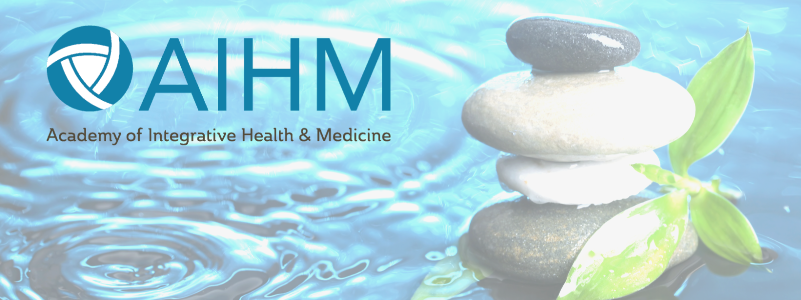 AIHM Webinar Banner