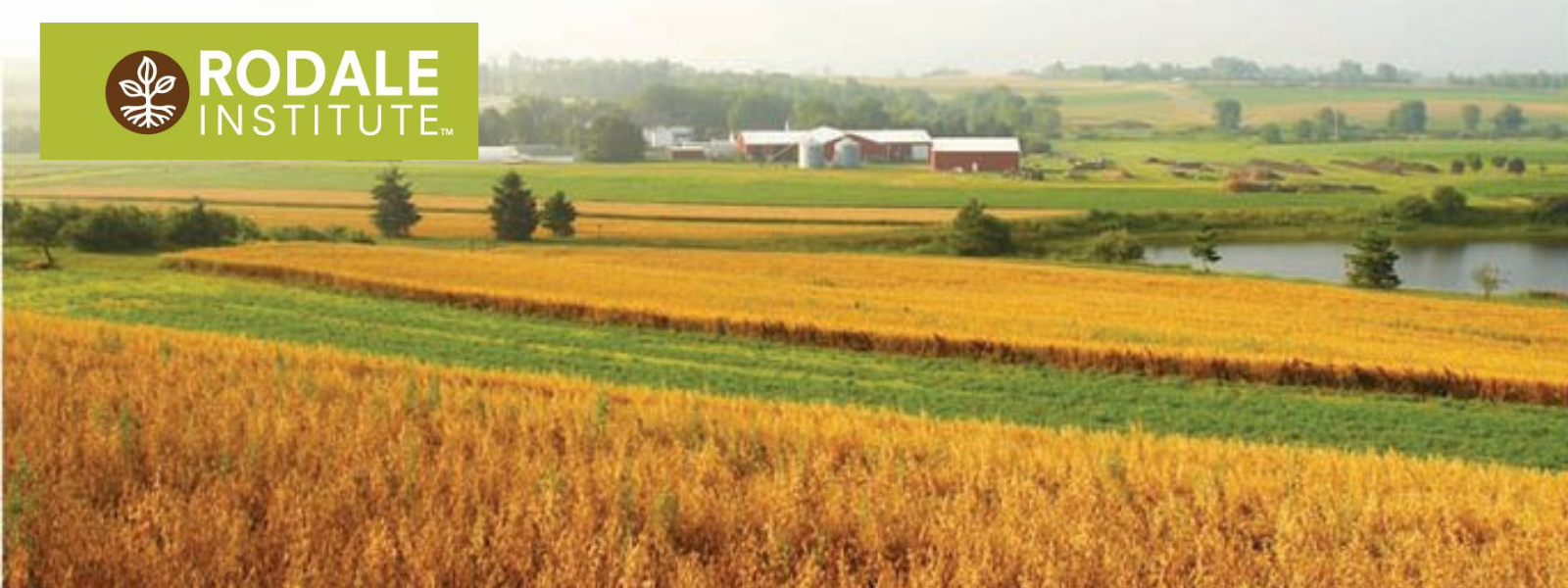 Food, Farming, and Philadelphia Banner Image