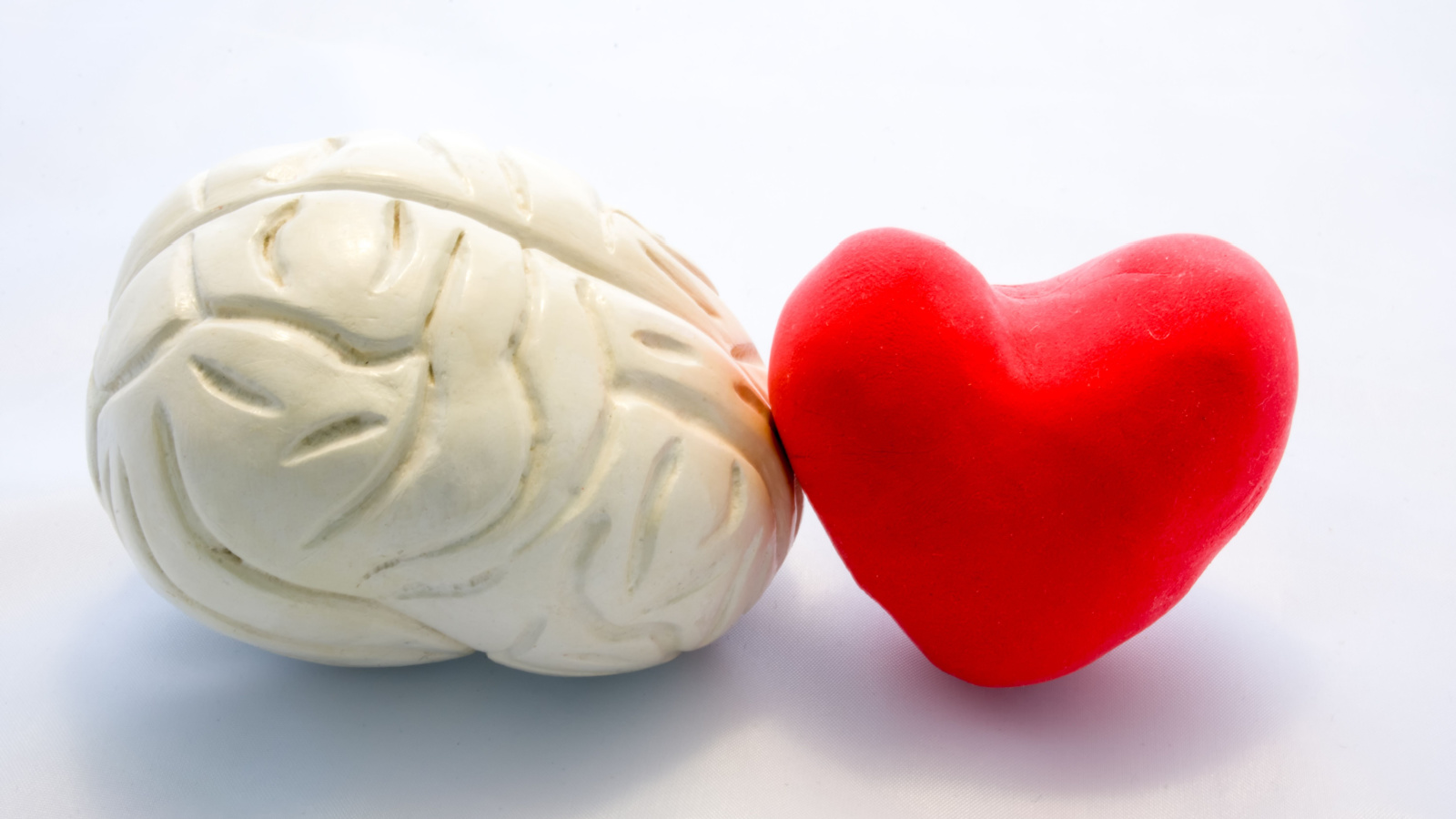 Vagus nerve connection of heart and brain 