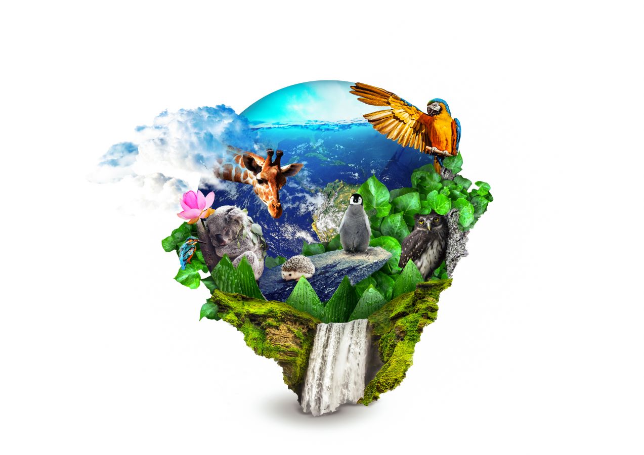 The planet Earth engulfed in leaves and animals living on it.