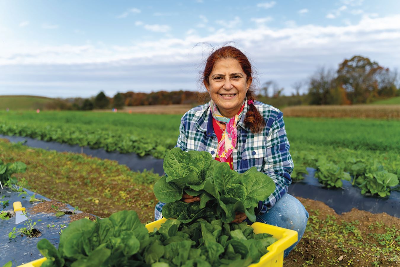 Renerative organic farming