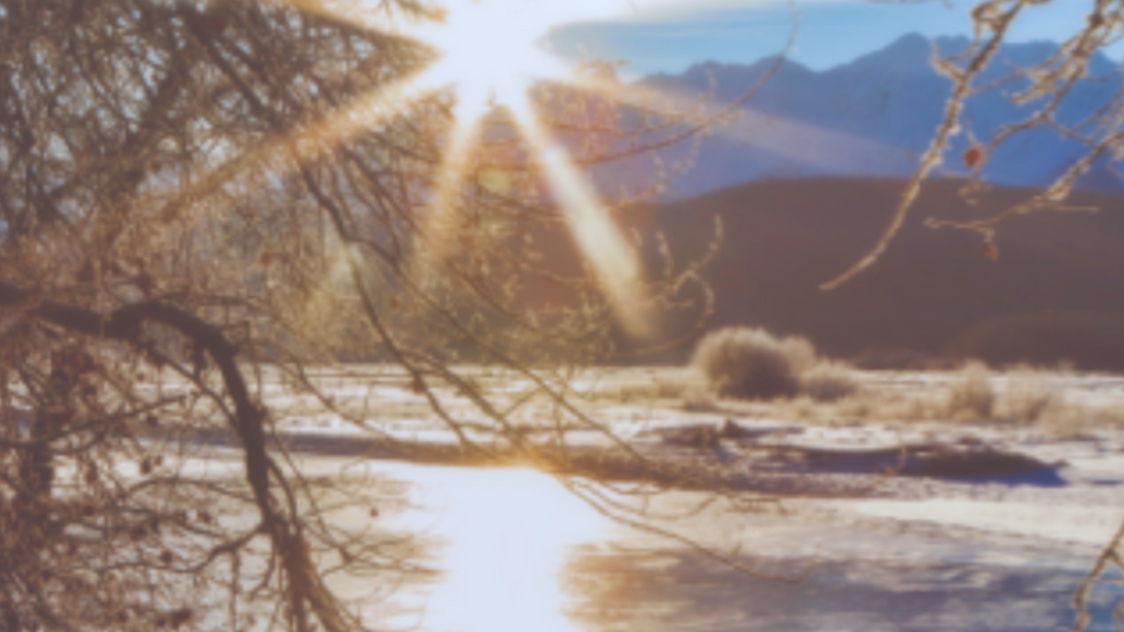 Banner: Treating Ourselves