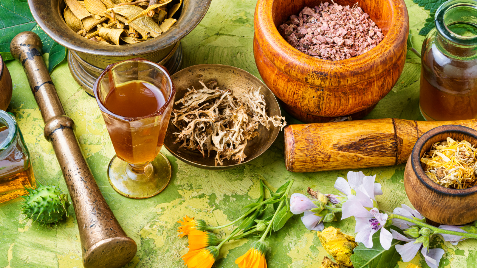 Natural medicine herbs, bowls on green table cloth