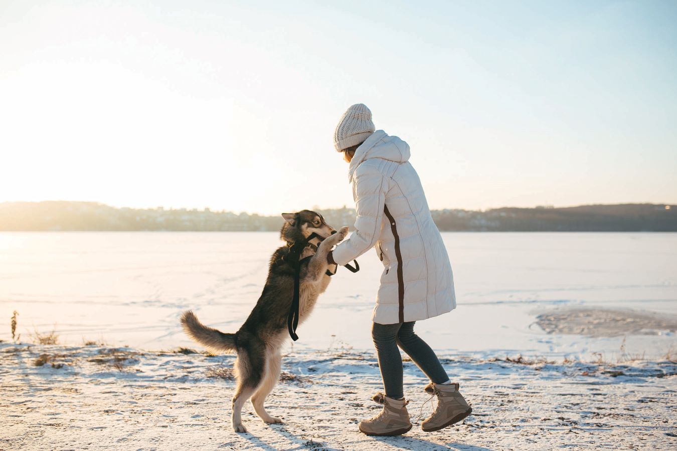 Woman with her dog near frozen lake