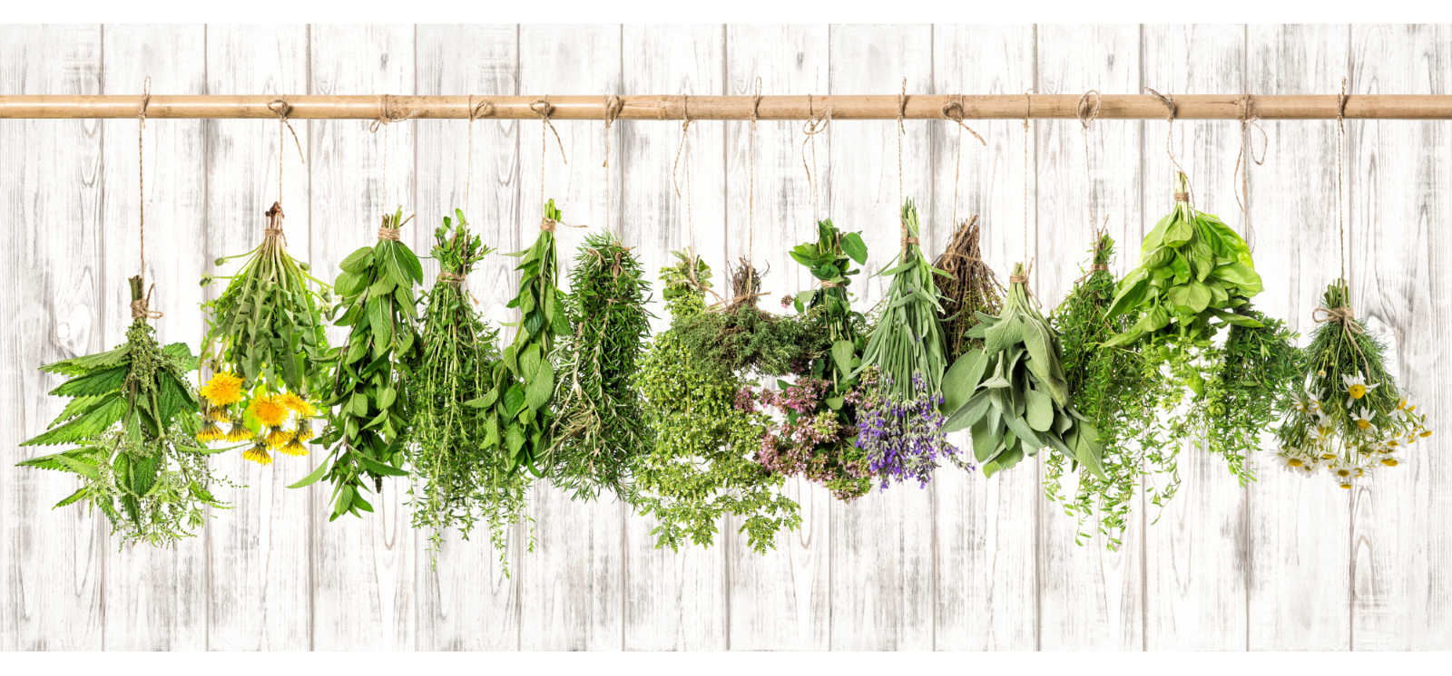 Drying herbs