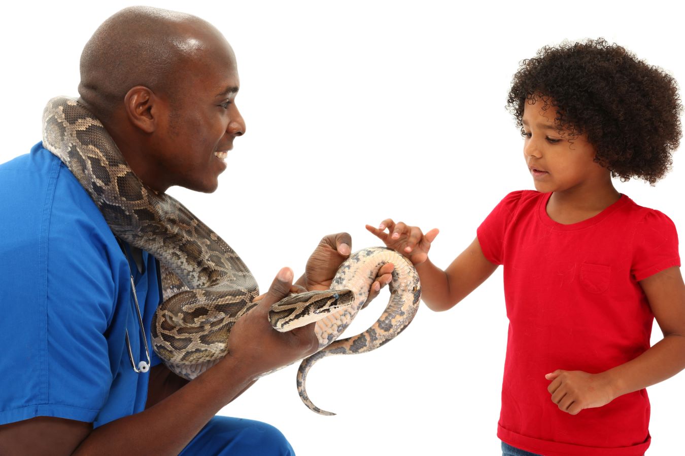 Snakes as a pet