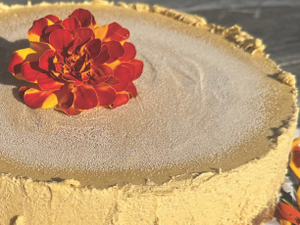 Lynn’s Pumpkin Cheese-Less Cake