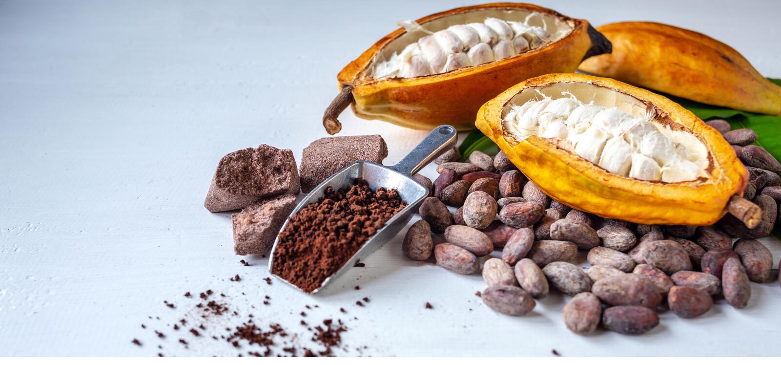 Chocolate Champions: Benefits of Dark Chocolate and Cacao 