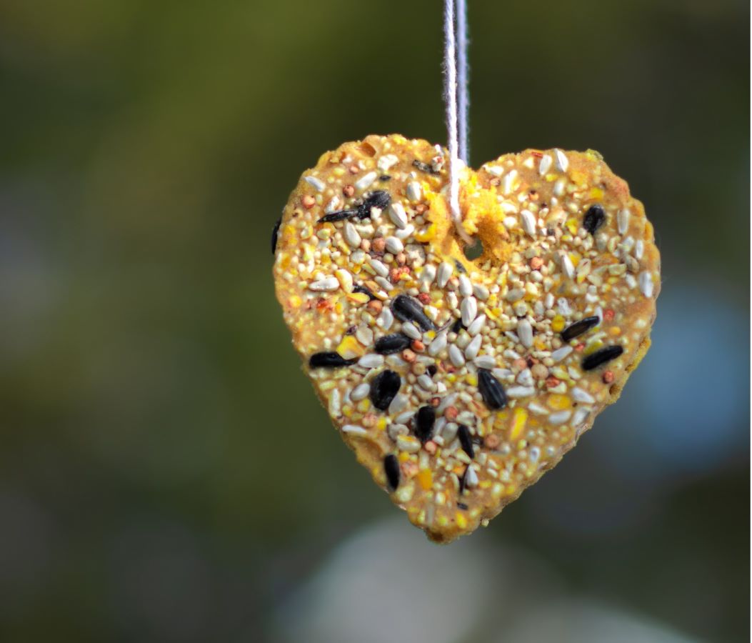 Bird Seed Heart