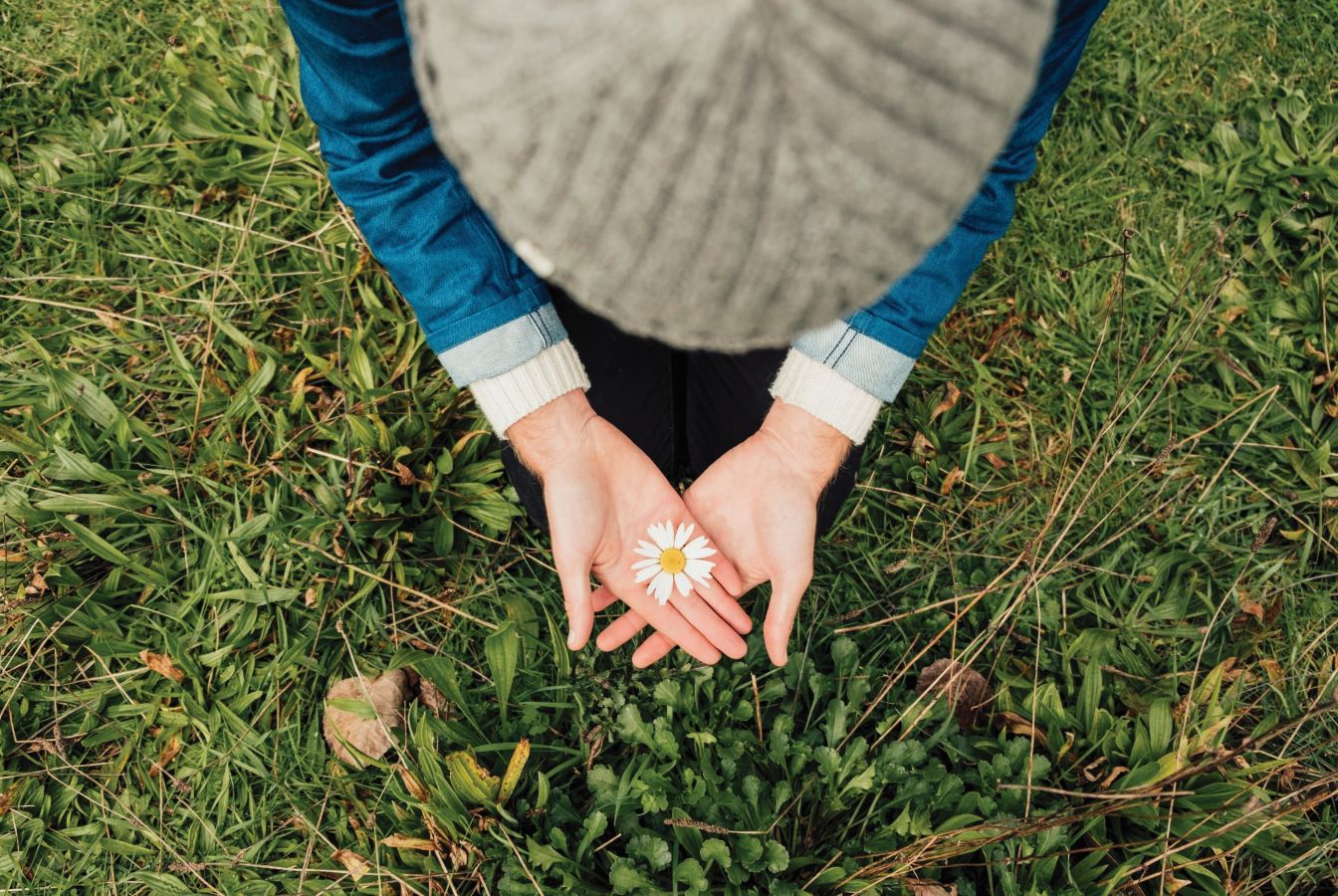 The wonder of a flower