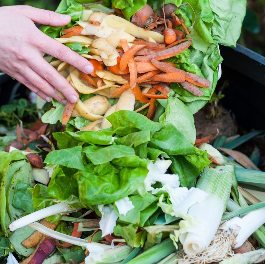 Placing food scrapes in compost