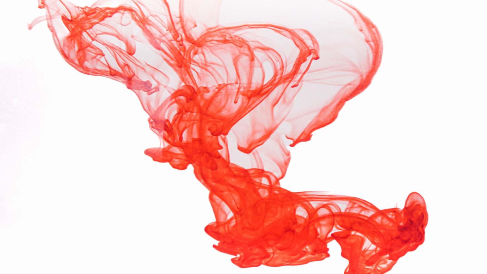 Red food dye in water