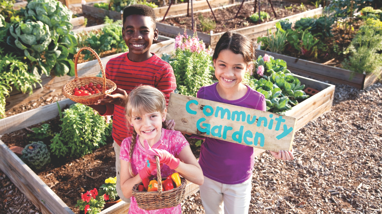 A kids harvesting vegetables