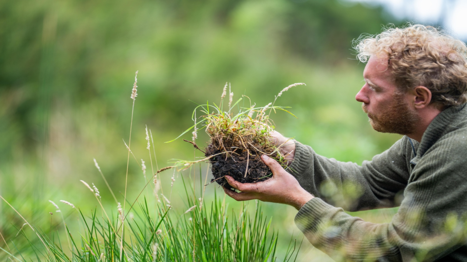 agronomist on a farm practicing agronomy holding soil, doing soil tests. Looking at soil life and health