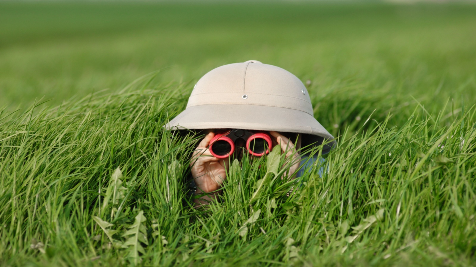 Little Boy with Binoculars and safari Hat, lying in the grass searching for Knowledge
