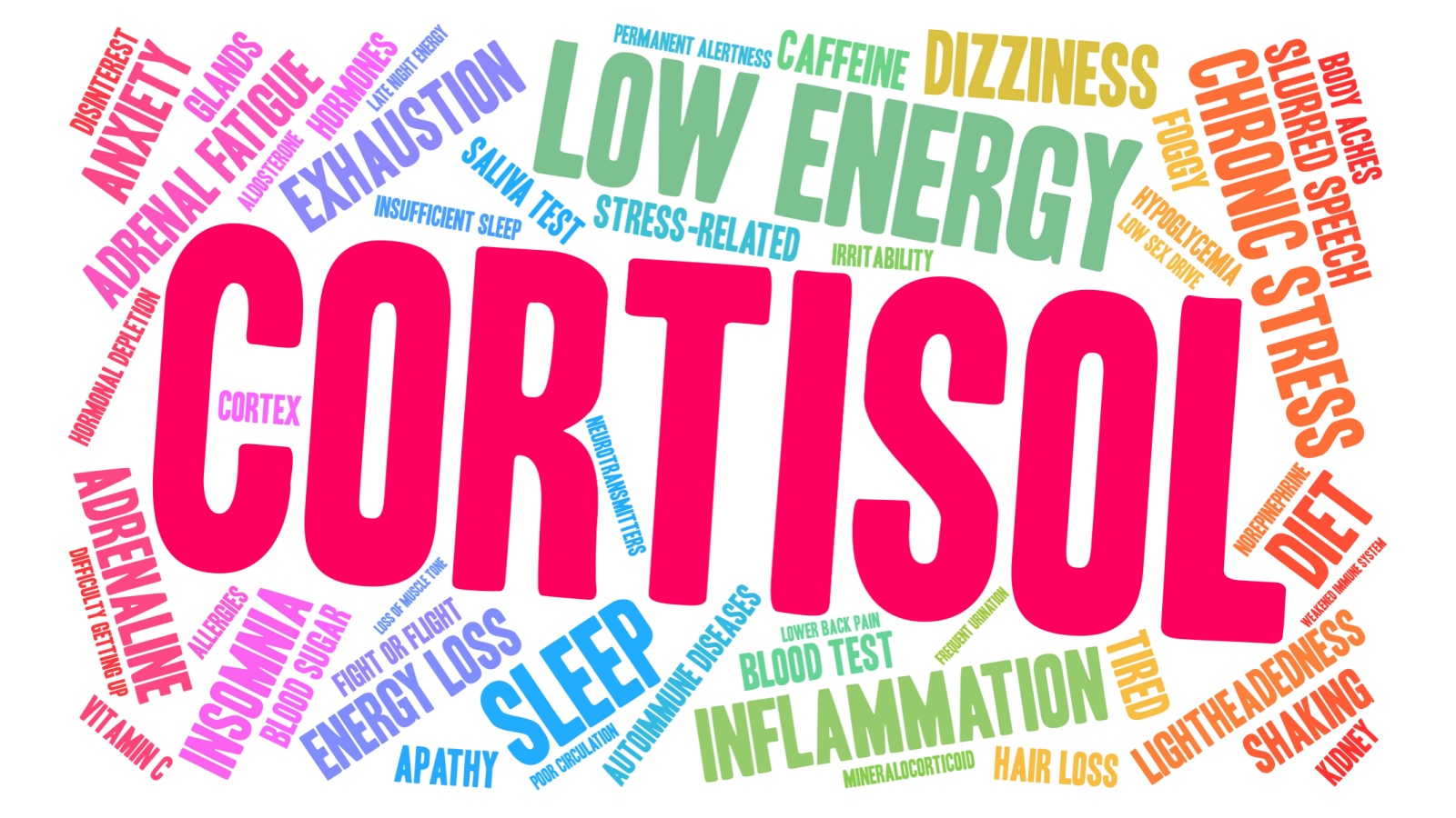 Cortisol word cloud on a white background