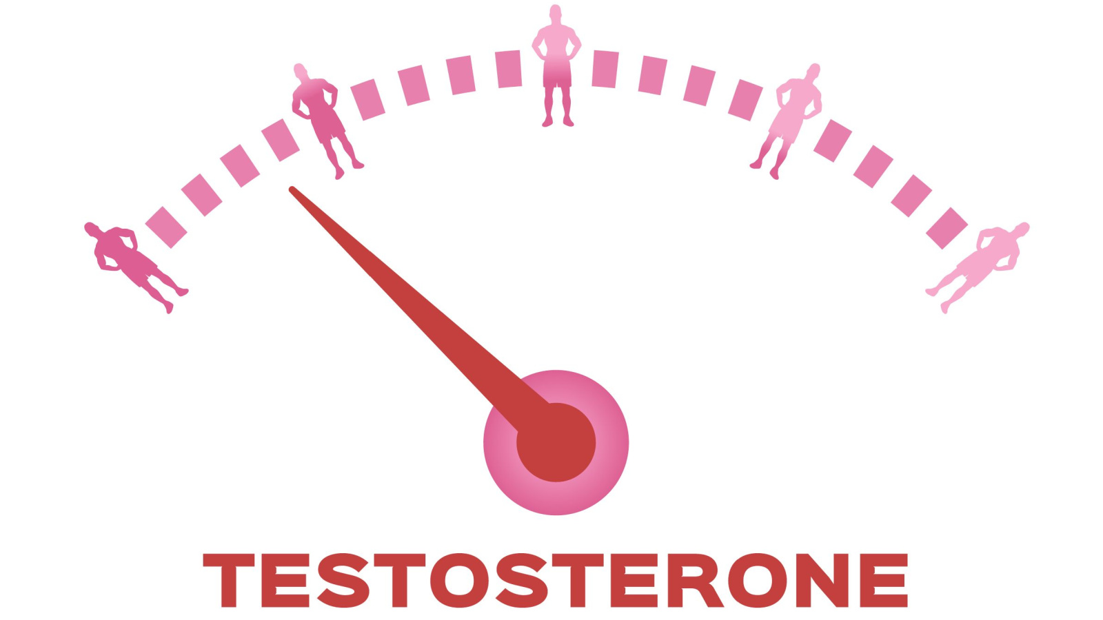 testosterone meter on white background vector
