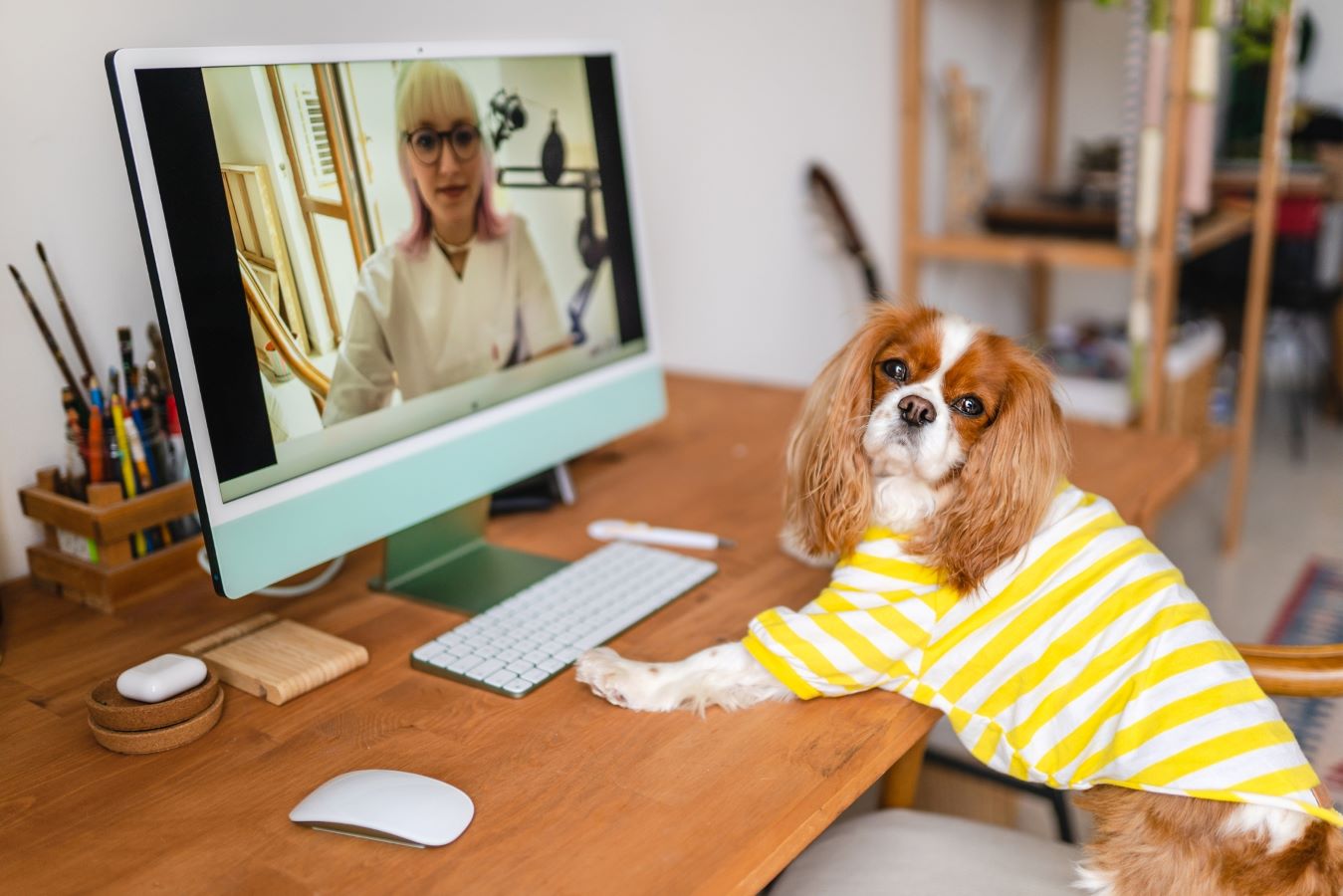 Dog on a video call with a veterinarian