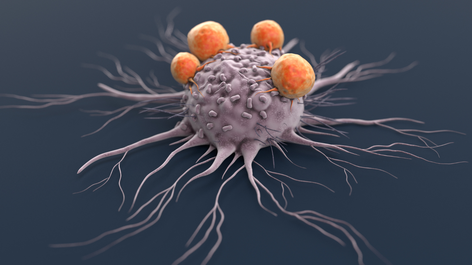 cancer cell being attacked by immune system cells