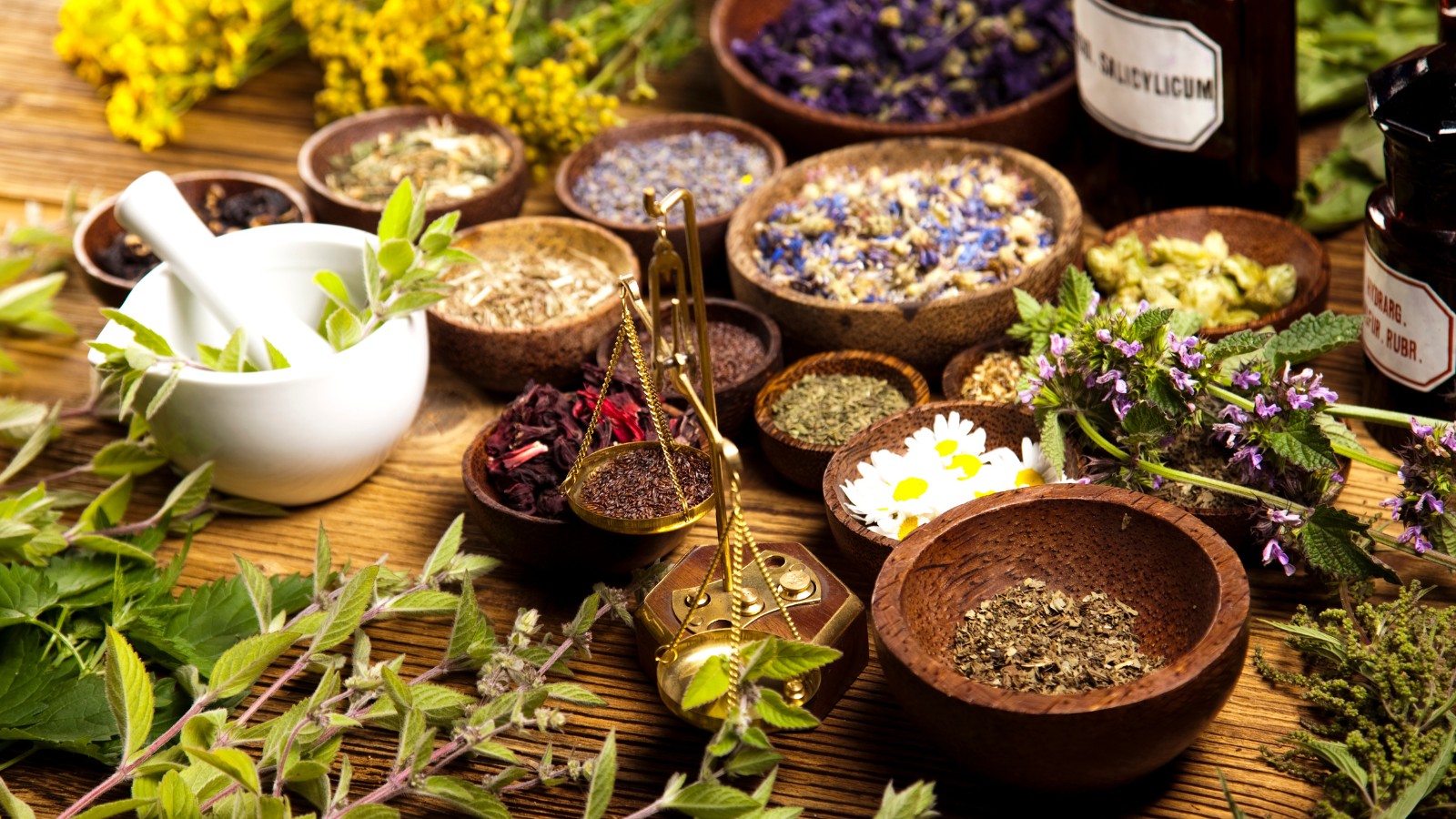 Variety of medicinal herbs