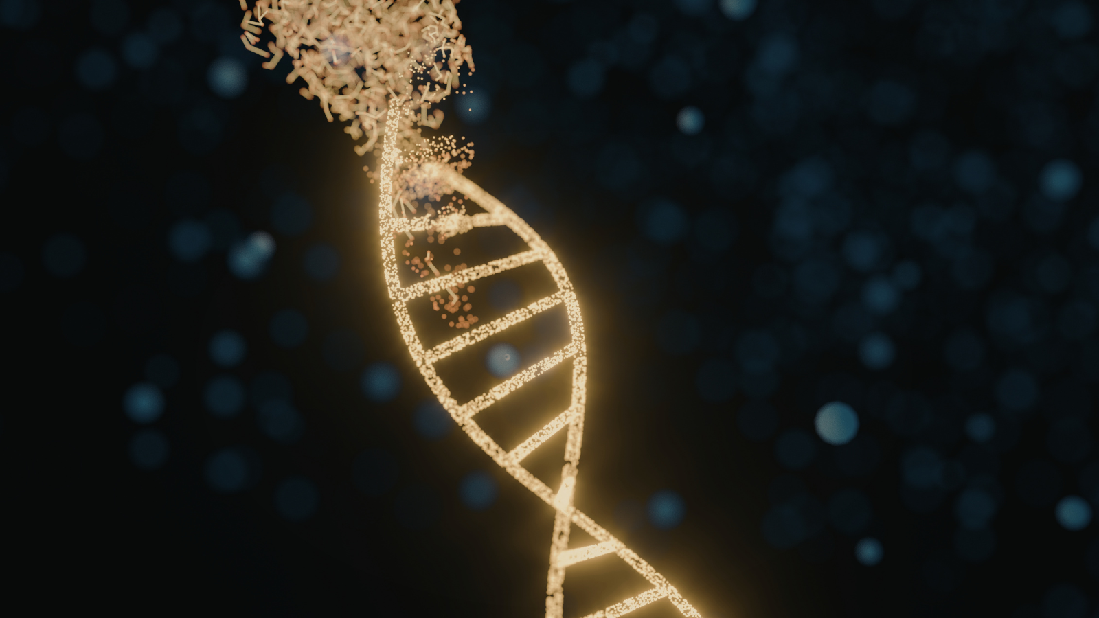 digital art of DNA strand, representative of DNA methylation metrics used in Epigenetic age testing