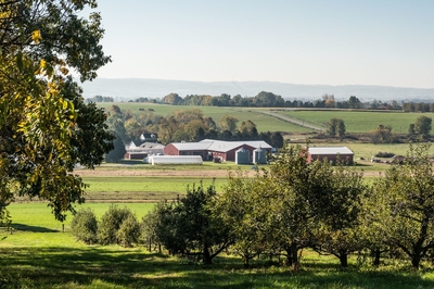 Rodale Institue Farm