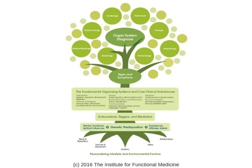 FUNCTIONAL MEDICINE