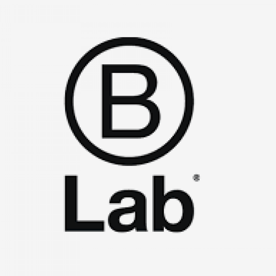 WHAT IS B LAB CERTIFIED B LAB CORPORATION?