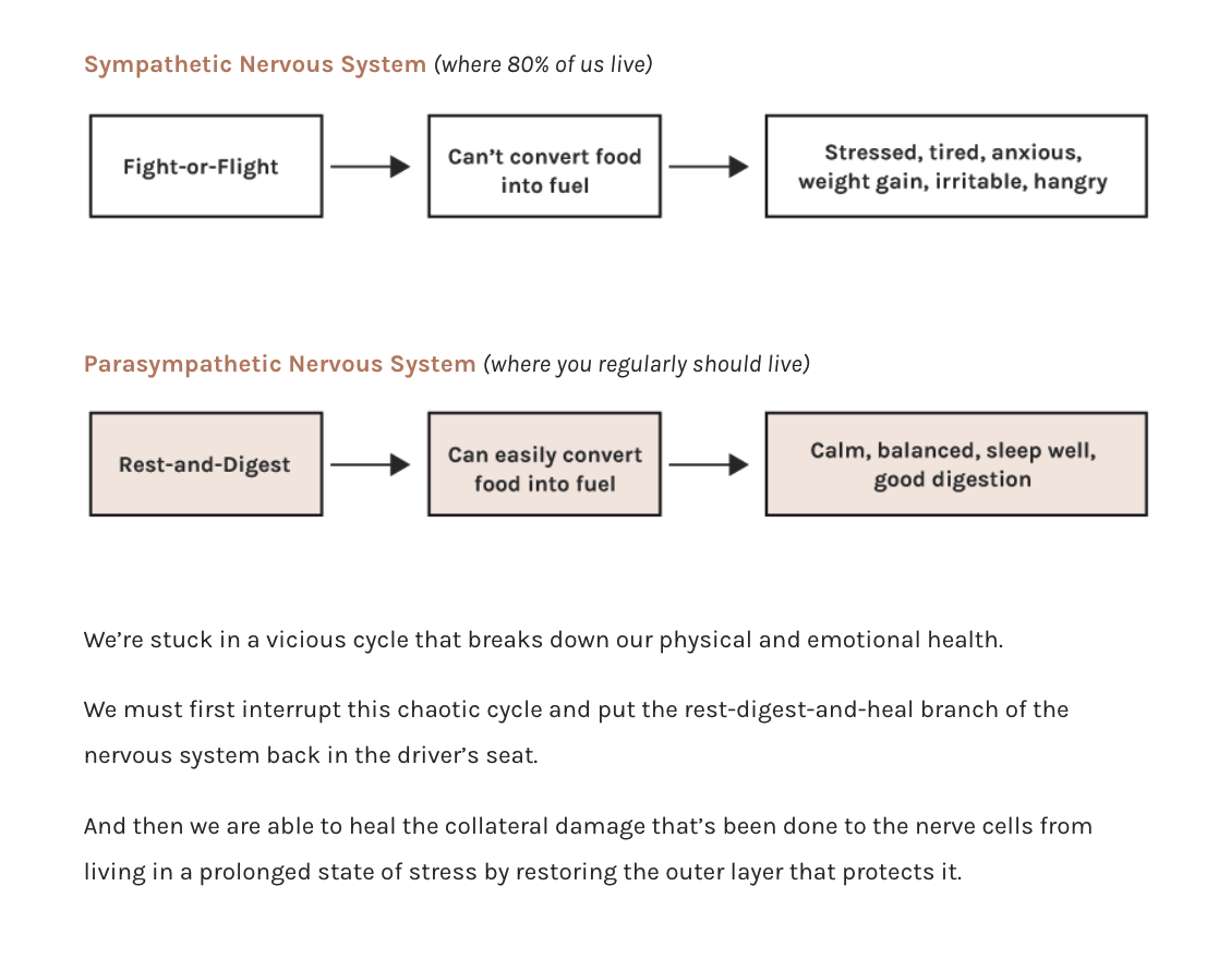 Nervous system