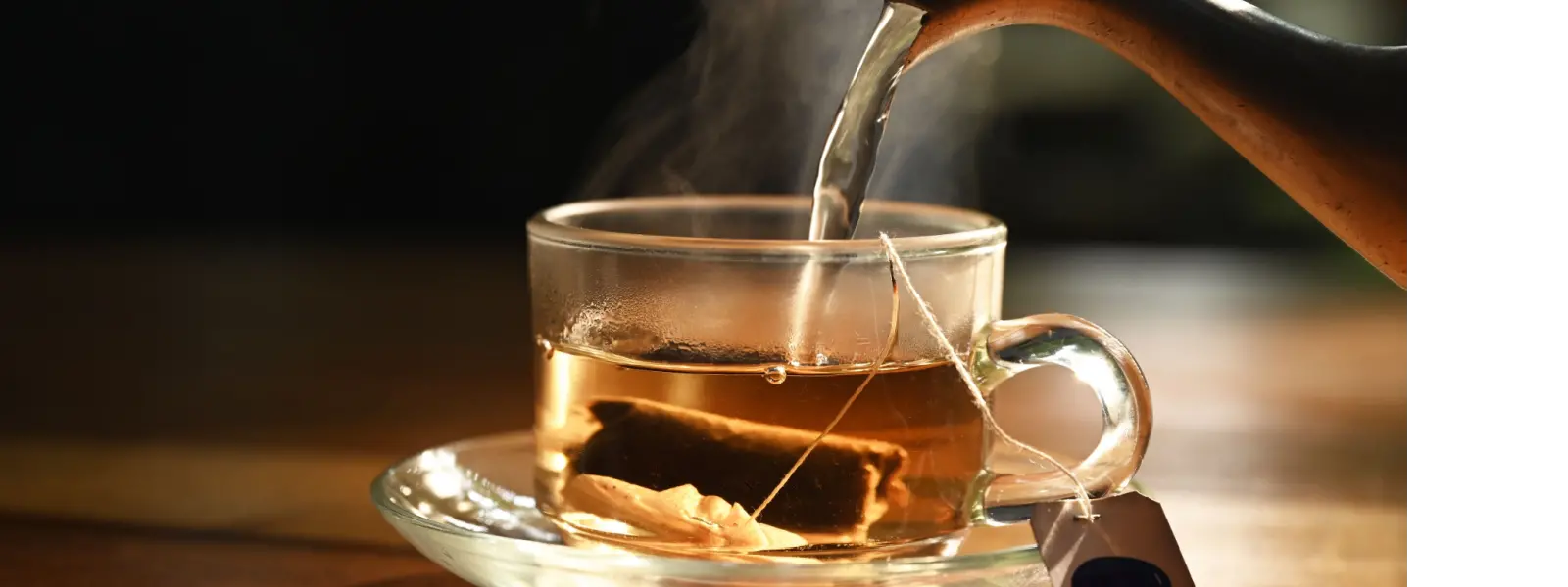 Microplastics in Tea Bags KnoWEwell