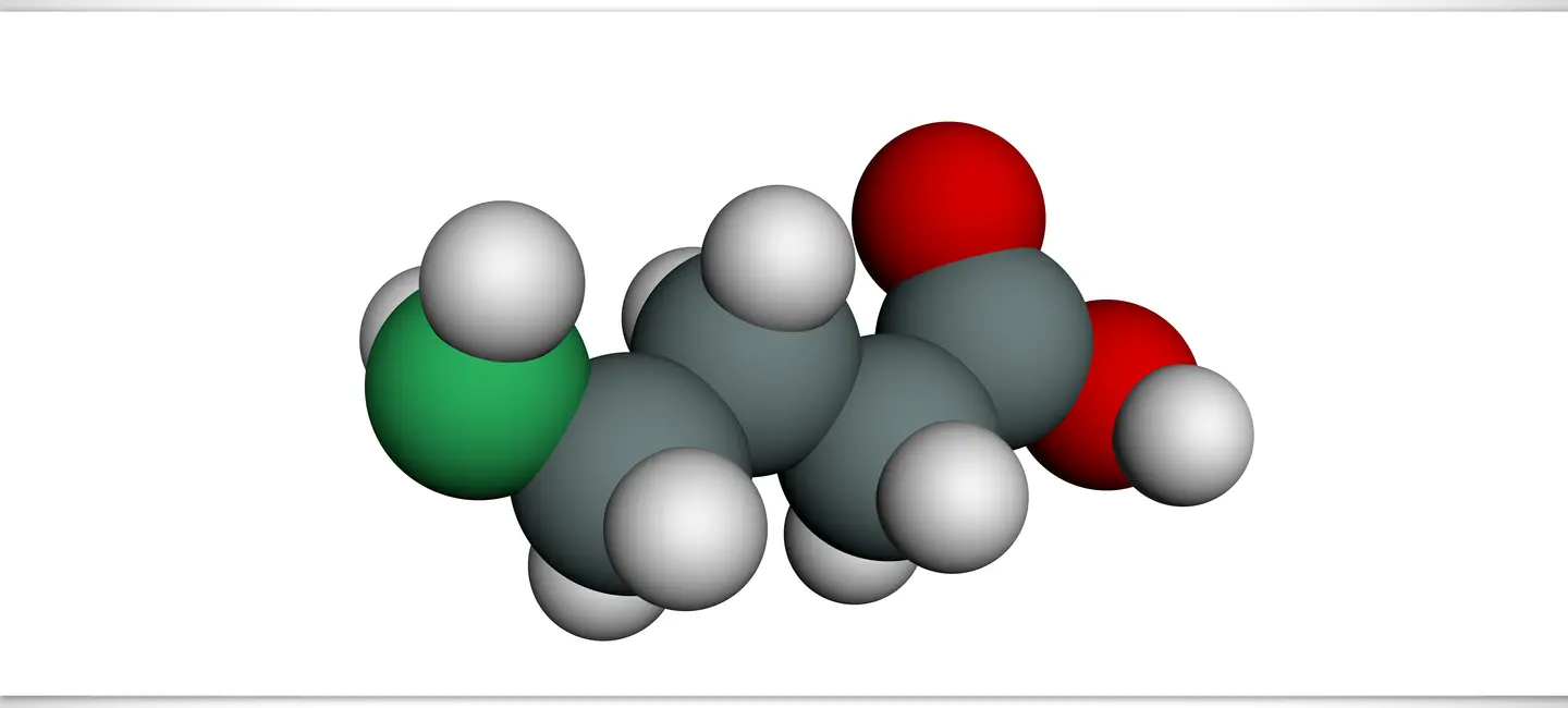 Gamma-Aminobutyric Acid molecules
