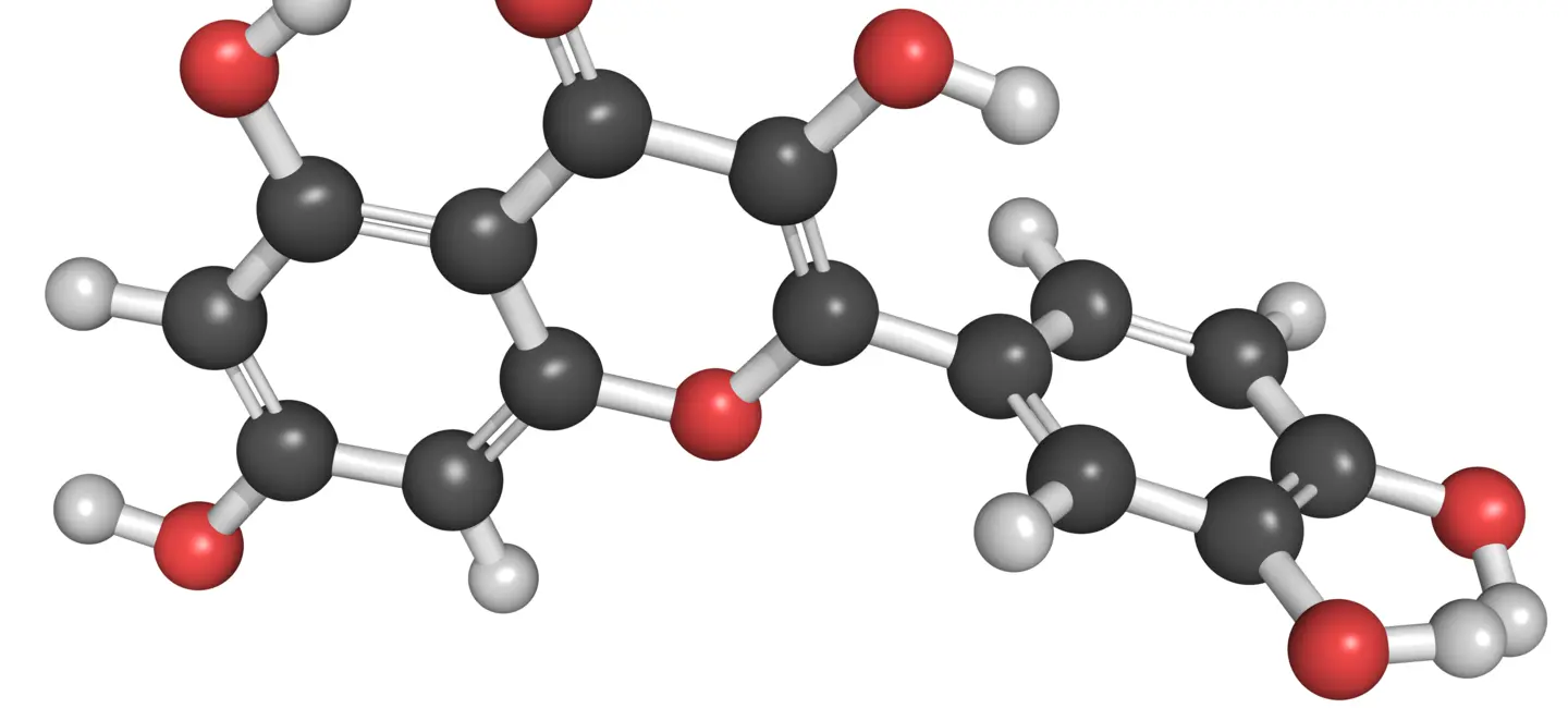 Quercetin  molecules