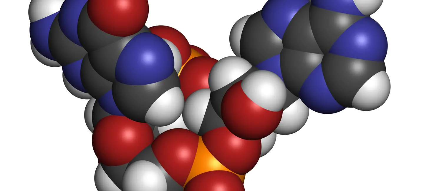 Adenosine molecule