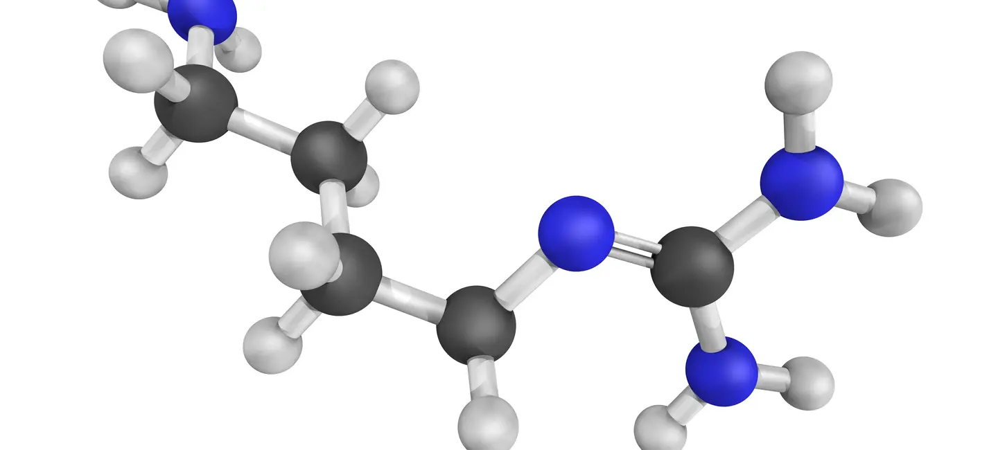 Agmatine molecule