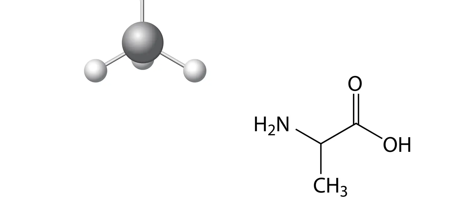 Alpha-Alanine molecule