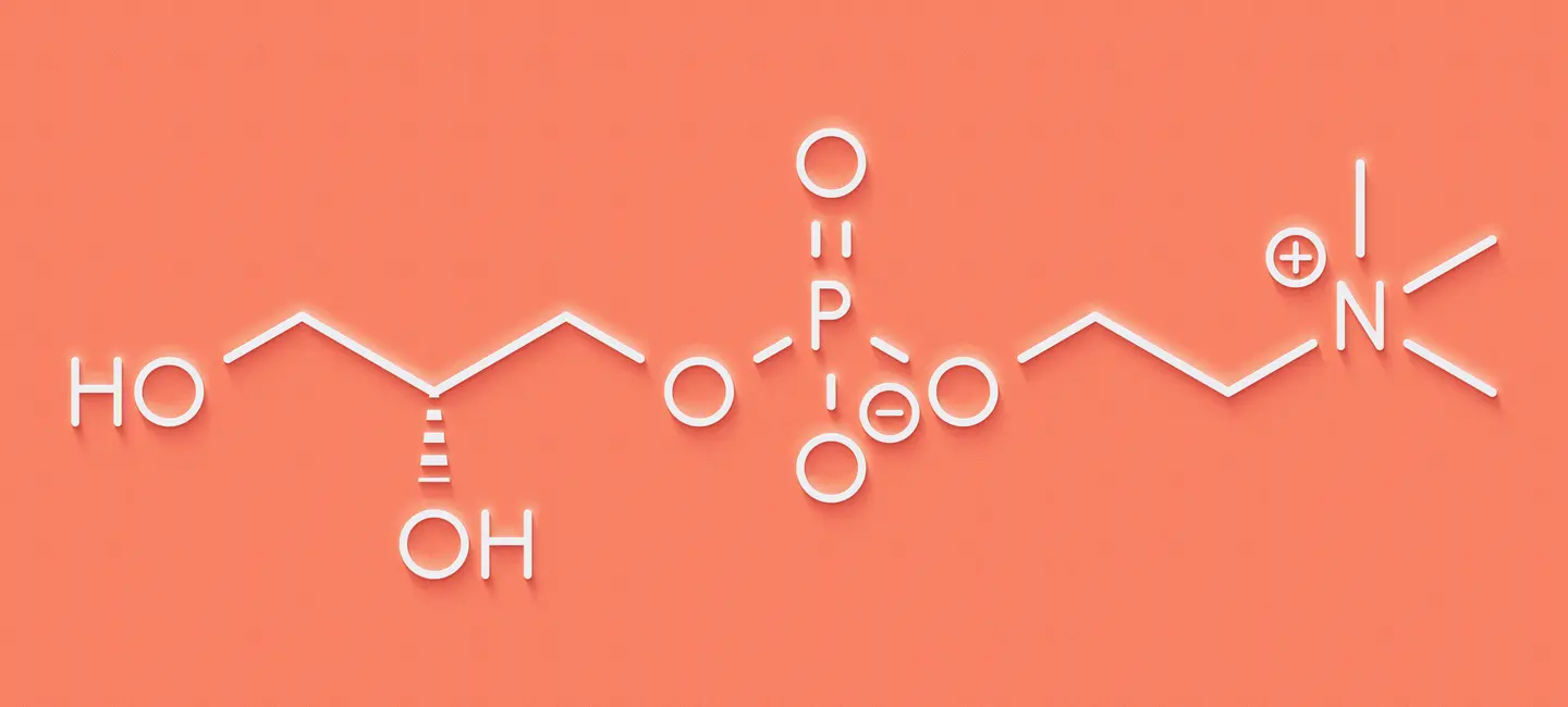 Alpha-GPC molecule