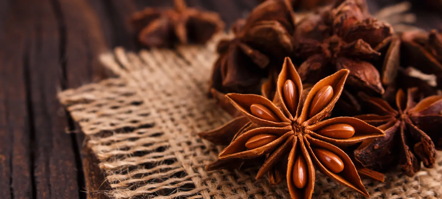 dried Anise