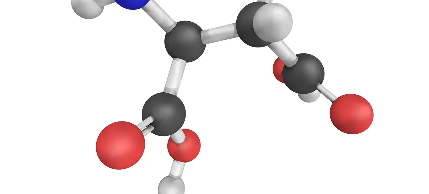 Aspartic Acid molecule