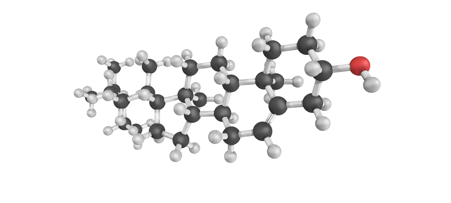 Beta-Sitosterol molecule