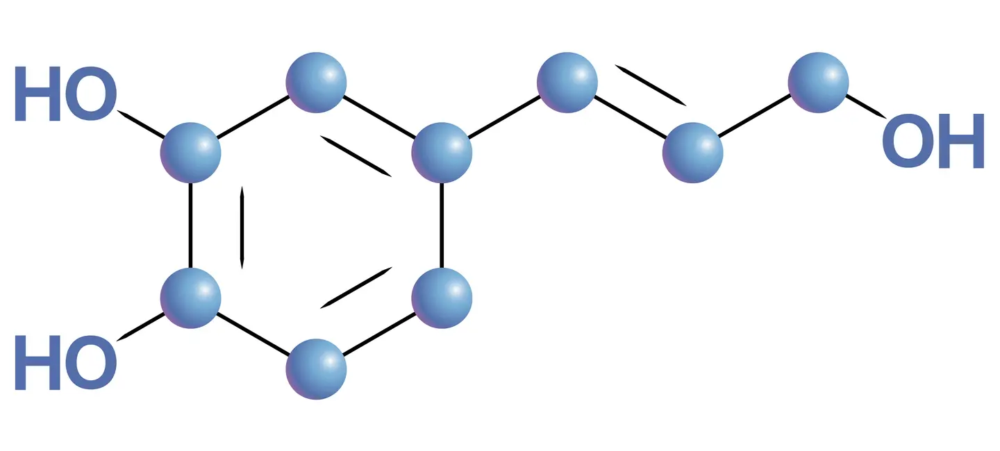 Caffeic Acid molecule