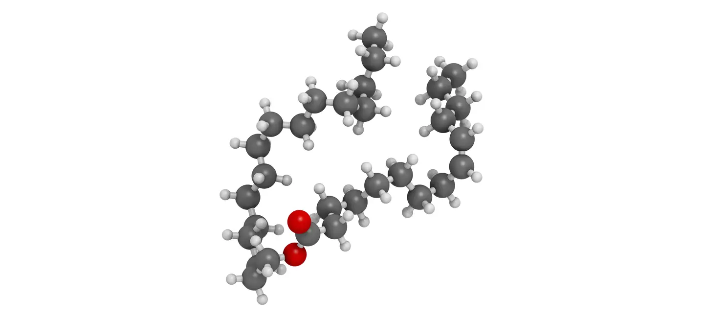 Cetylated Fatty Acids molecule