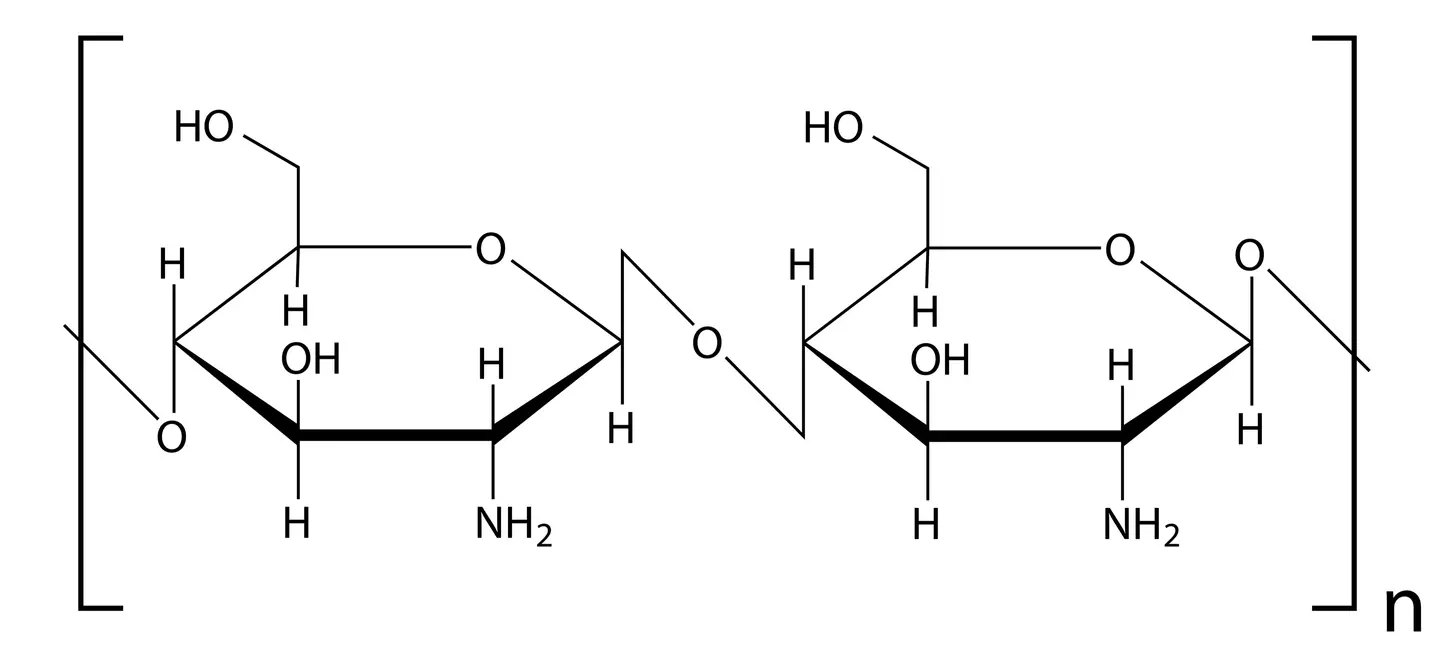 Chitosan molecule