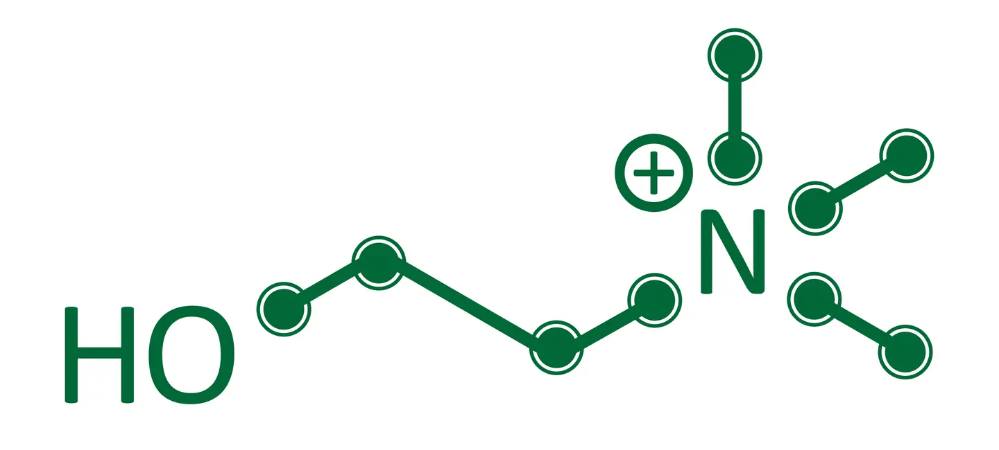 Choline molecule