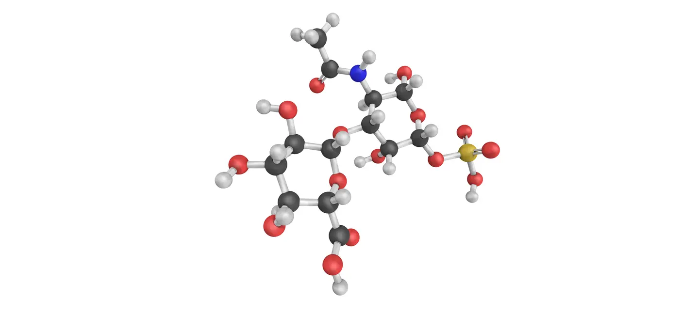 Chondroitin Sulfate molecule