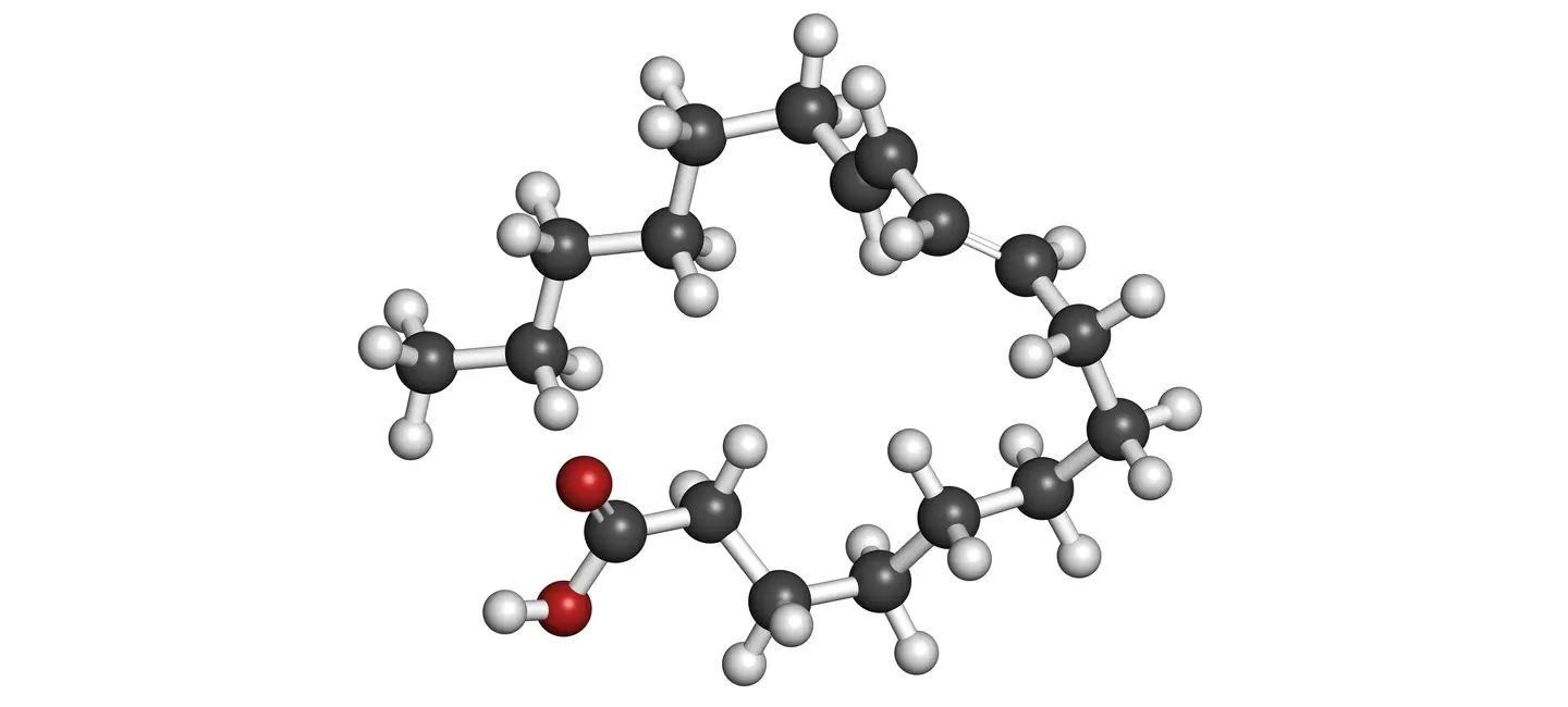 Conjugated Linoleic Acid molecule