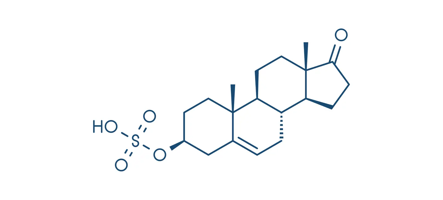 DHEA molecule
