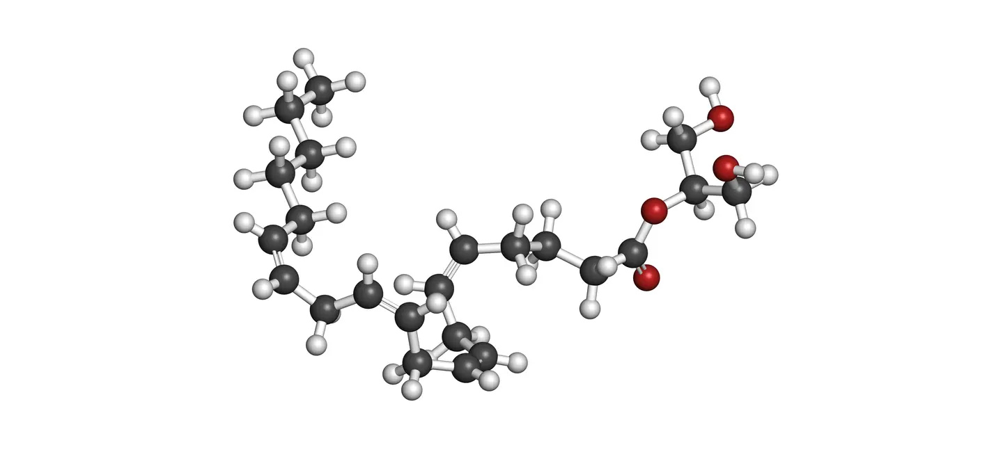 Diacylglycerol molecule