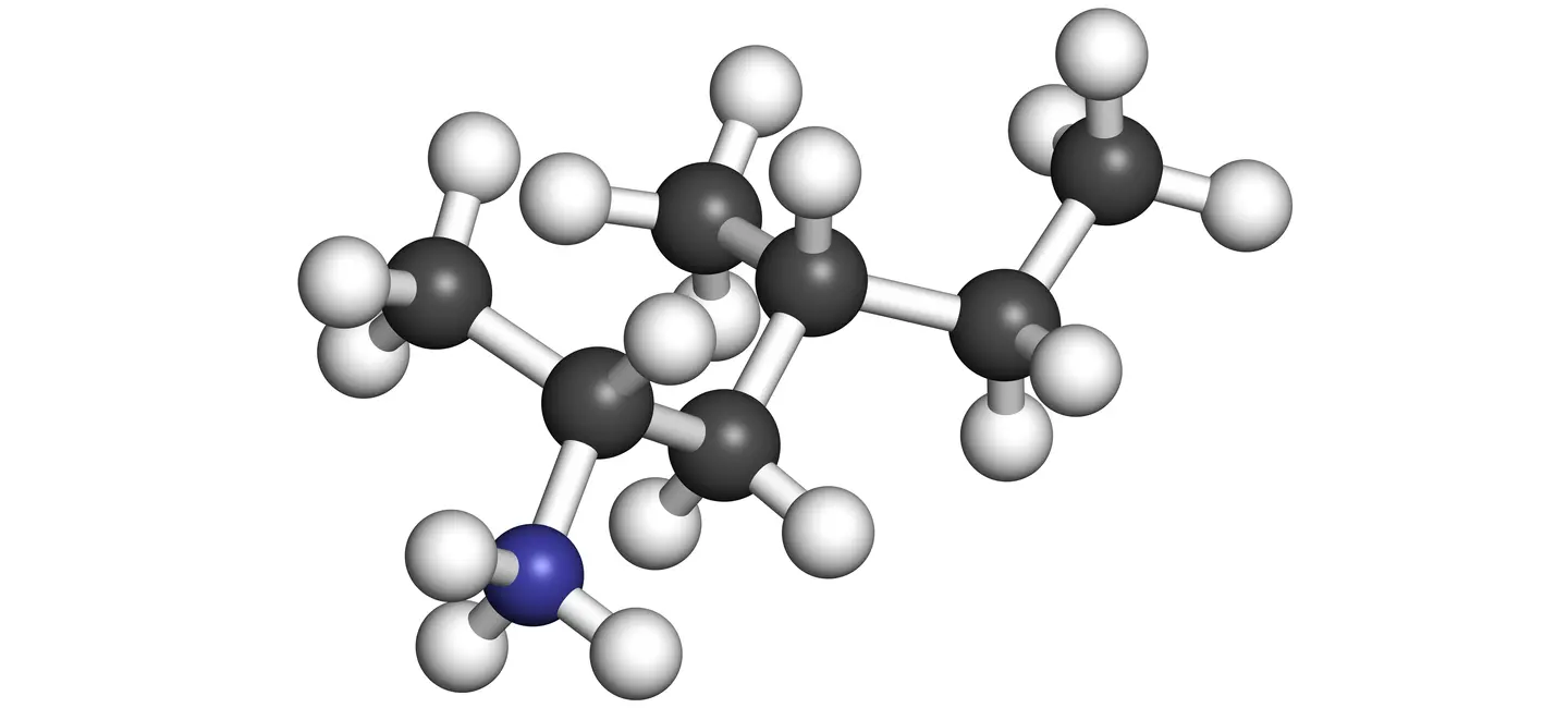 Dimethylamylamine molecule