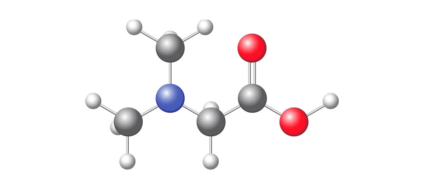 Dimethylglycine molecule