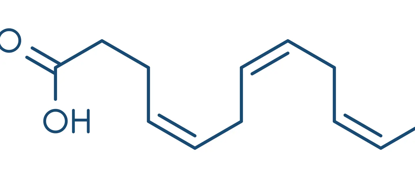 Docosahexaenoic Acid molecule